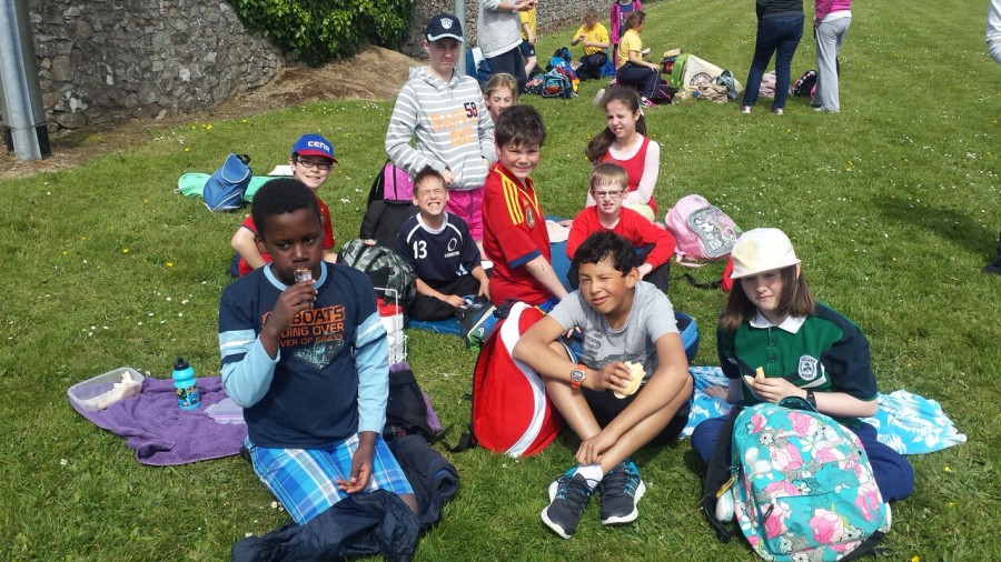 Dublin primary school athletics 2015
